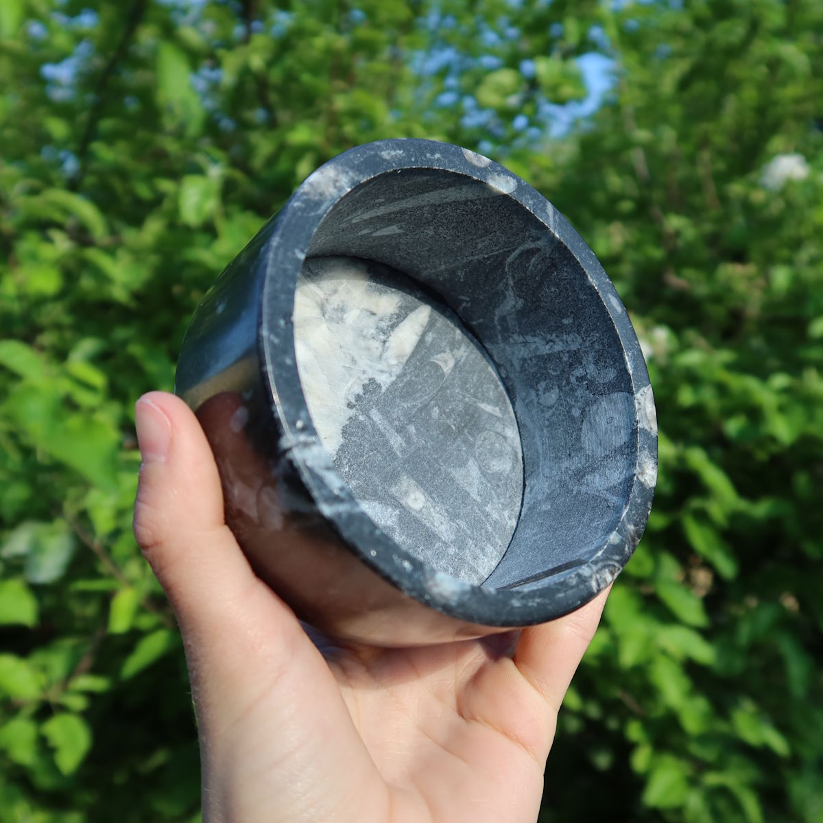 Orthoceras Schatulle rund groß - cm - Fossilgestein - Nr. 16, dekorative Fossilschalen aus Urmeergestein.