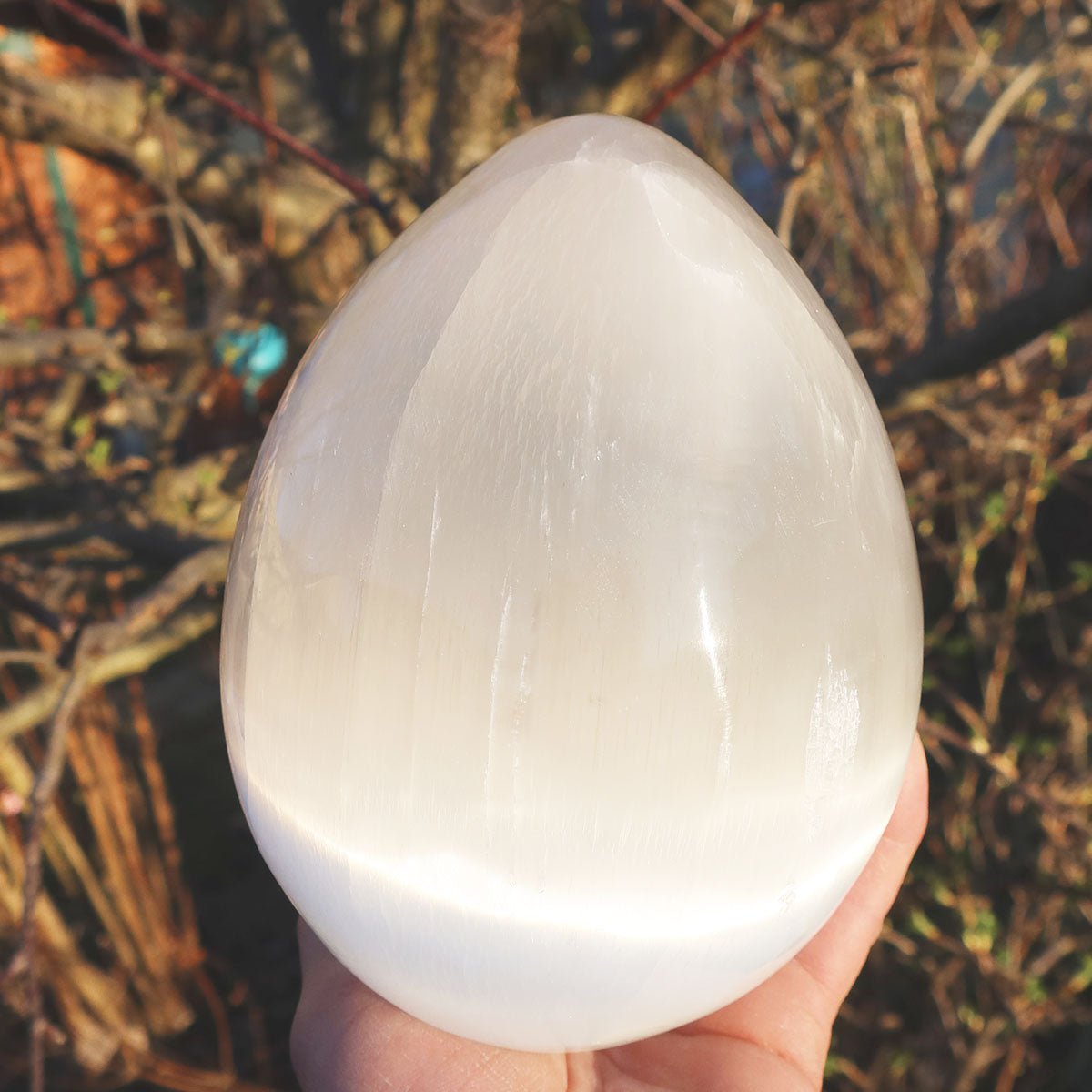 XL - Natürliches geschliffenes Selenit Ei - 16x12cm - 3kg - Lichtbringer und Schutzstein