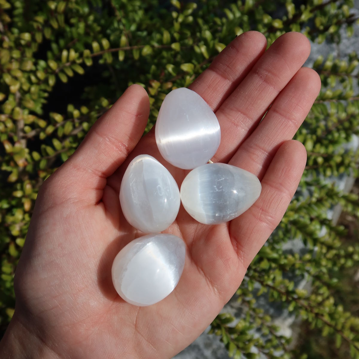 Natürliches geschliffenes Selenit Ei 30mm (Marienglas, Gips) - Lichtbringer und Schutzstein auf einer Hand.