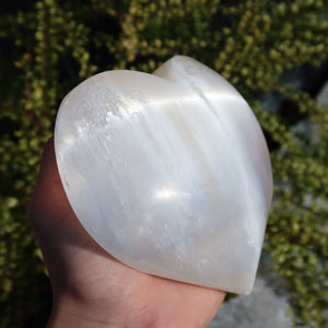 Selenit Herz XL (13-14cm) - Schutzstein für Stabilität und Nervenstärkung in handgehaltener Ansicht.