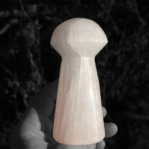 Glücksbringer - Selenitpilz ca. 12 cm - für Stabilität und Gefühl der Kontrolle zu bewahren, Schutzstein für Licht und Nervenstärkung