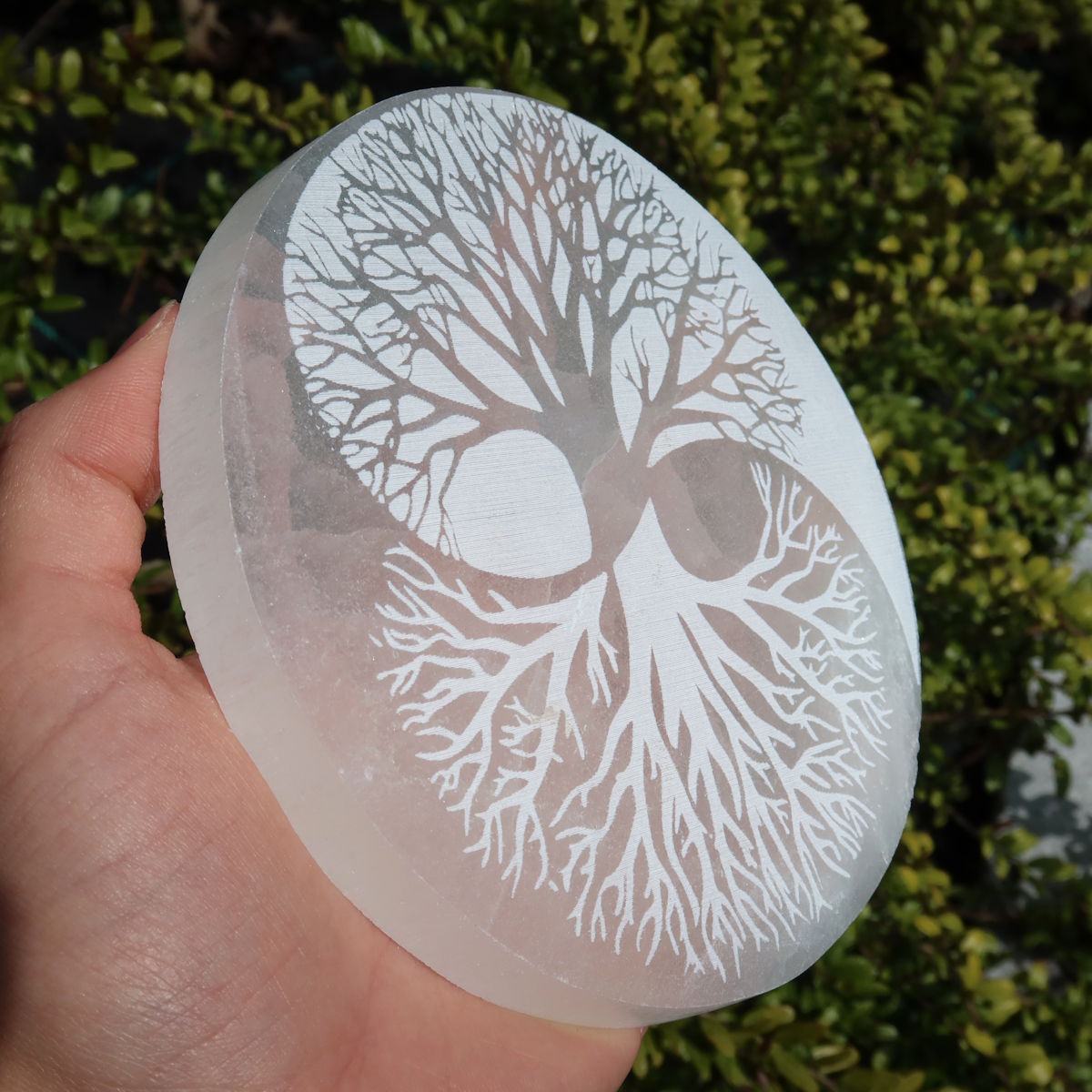 Selenit Ladeplatte - Baum des Lebens - Yin Yang - 12cm