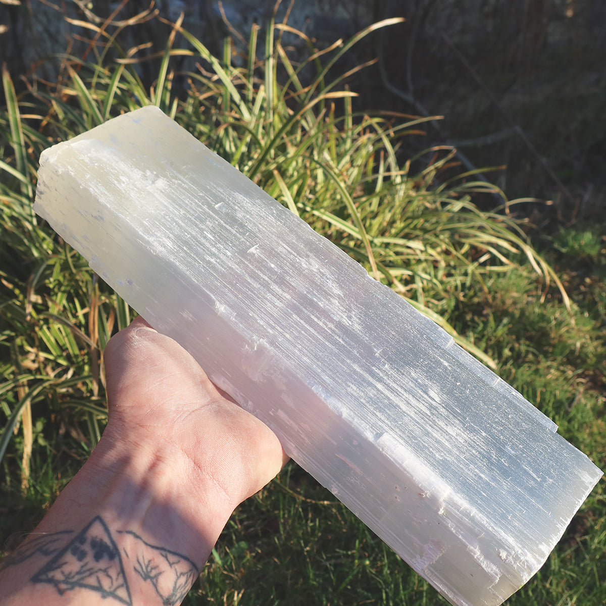 Natürliche XL - Selenit Kristall - roh Stab ca. 40x6x6 cm - Marokko in der Hand gehalten, vor grünem Hintergrund.