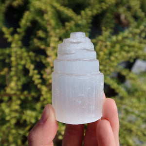 Natürlicher Selenit Kristall Turm 6cm (Marienglas, Gips) - Ein Lichtbringer und Schutzstein in Hand gehalten vor Pflanzen.