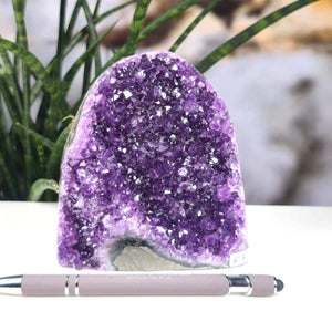 Uruguay Amethyst Mini Geode - 11x10x7cm - Harmonie und Entspannung – extra dunkler Qualität - NR 67 in voller Ansicht vor Pflanzen
