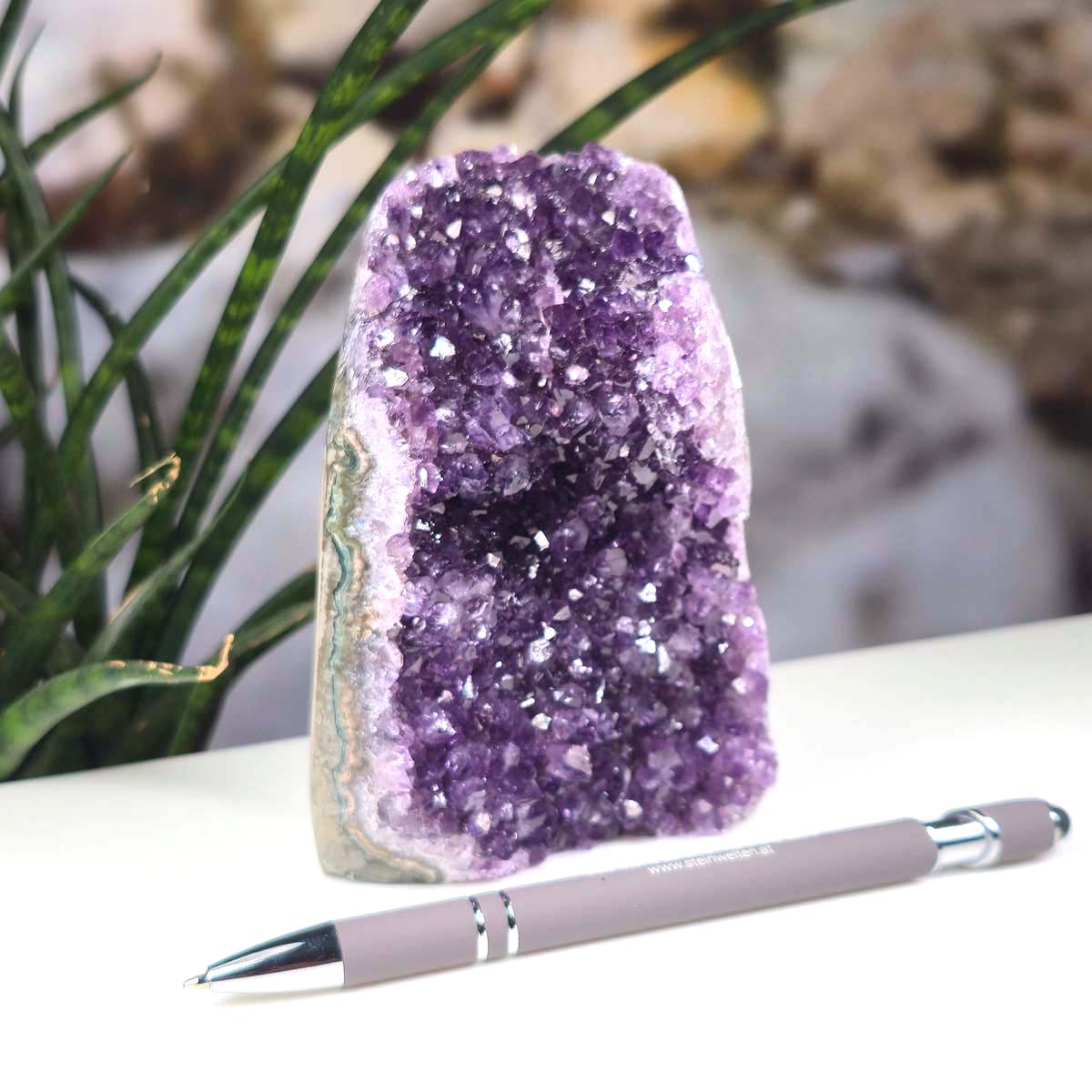 Uruguay Amethyst Mini Geode - 12x8x6cm - Harmonie und Entspannung – extra dunkler Qualität - NR 9 vor Pflanzenhintergrund