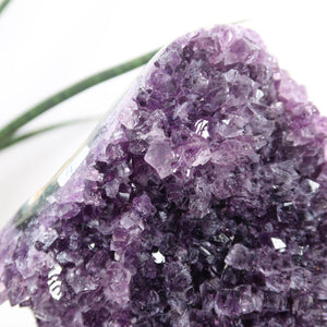Uruguay Amethyst Mini Geode showcasing dark purple crystals for harmony and relaxation; high quality, 11x12cm.