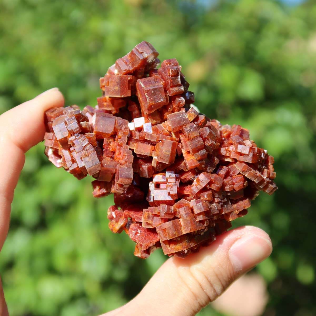 Vanadinit - Natürliche Kristallstufe aus Marokko 7x5,5x4cm - 0,23kg Nr.40 in Hand gehalten