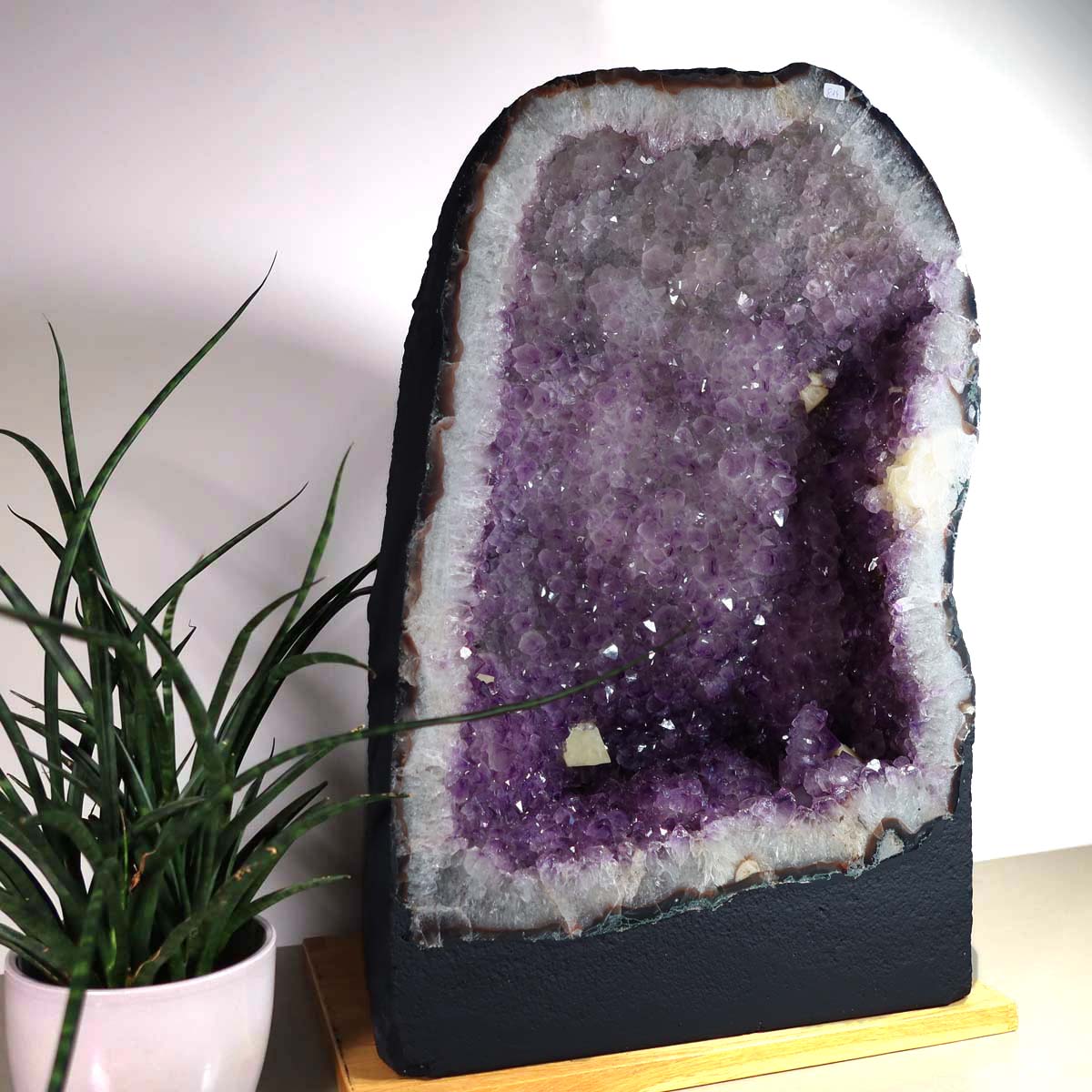 Amethyst Druse – Geode - 35x56x29cm und 61kg – Steinwelten OG - Nr. 489, unique decor piece for living spaces and meditation rooms.