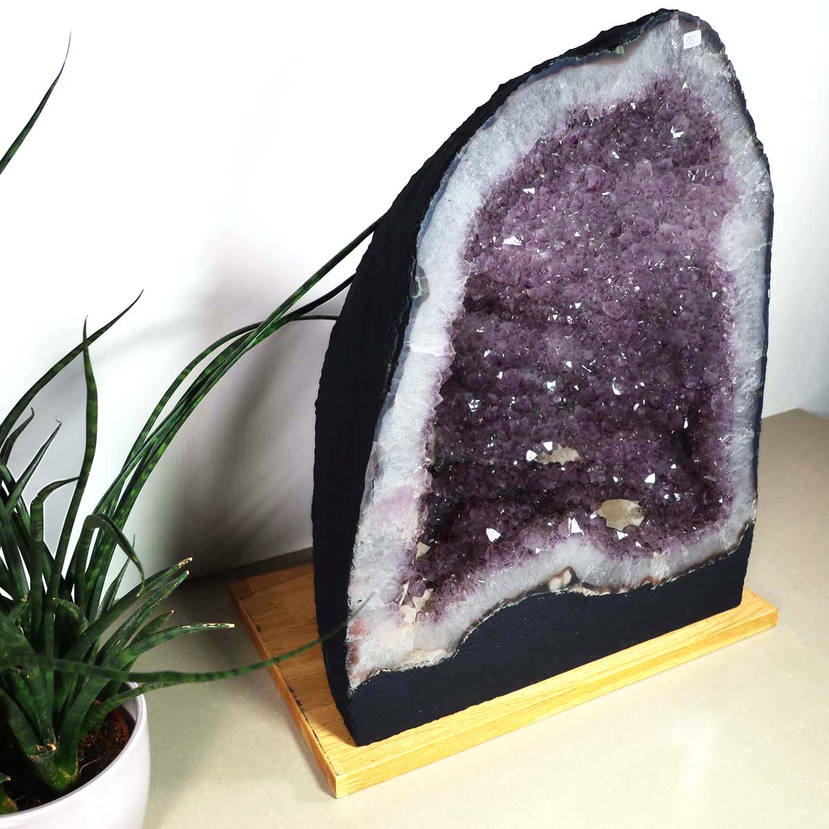 Amethyst Druse – Geode - 37x45x28cm und 40,6kg – Steinwelten OG - Nr. 490, unique crystal for stylish decor and healing.