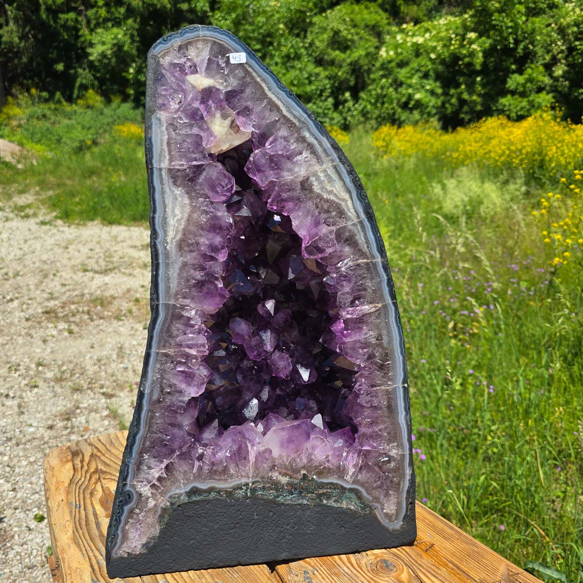Amethyst Druse – Geode – Harmonie und Entspannung - 49x30x19cm - Nr. 43