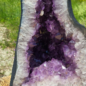 Amethyst Druse – Geode – Harmonie und Entspannung - 68x34x28cm - Nr. 113
