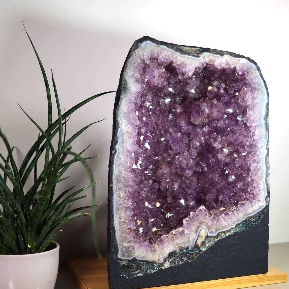 Amethyst Druse – Geode - 33x44x20cm und 35kg – Steinwelten OG - Nr. 457 on display, perfect for decoration and meditation.