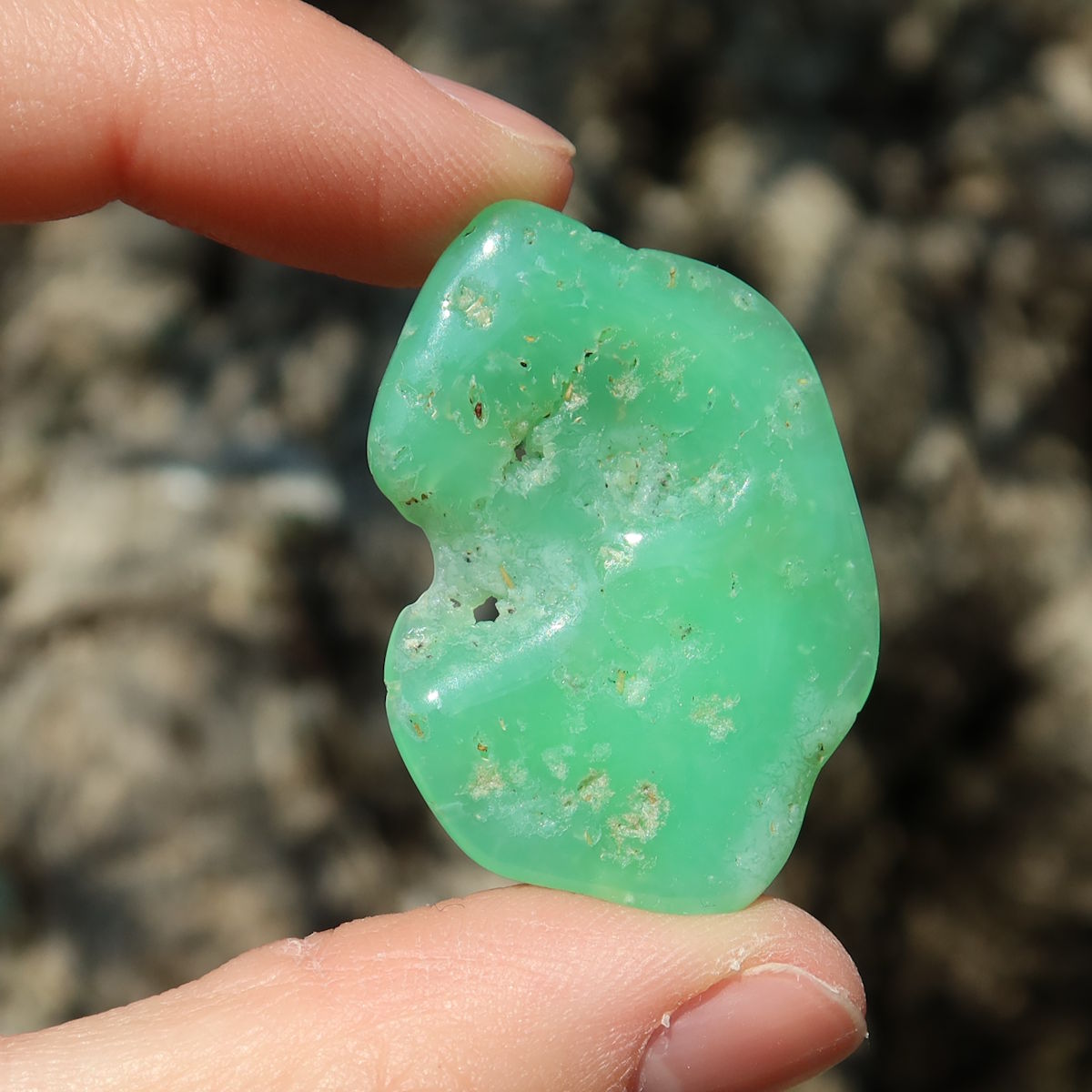 Chrysopras Handschmeichler - Selbstliebe und Vertrauen - Nr. 17 in lebhaftem Grün, ideal für die Hosentasche.