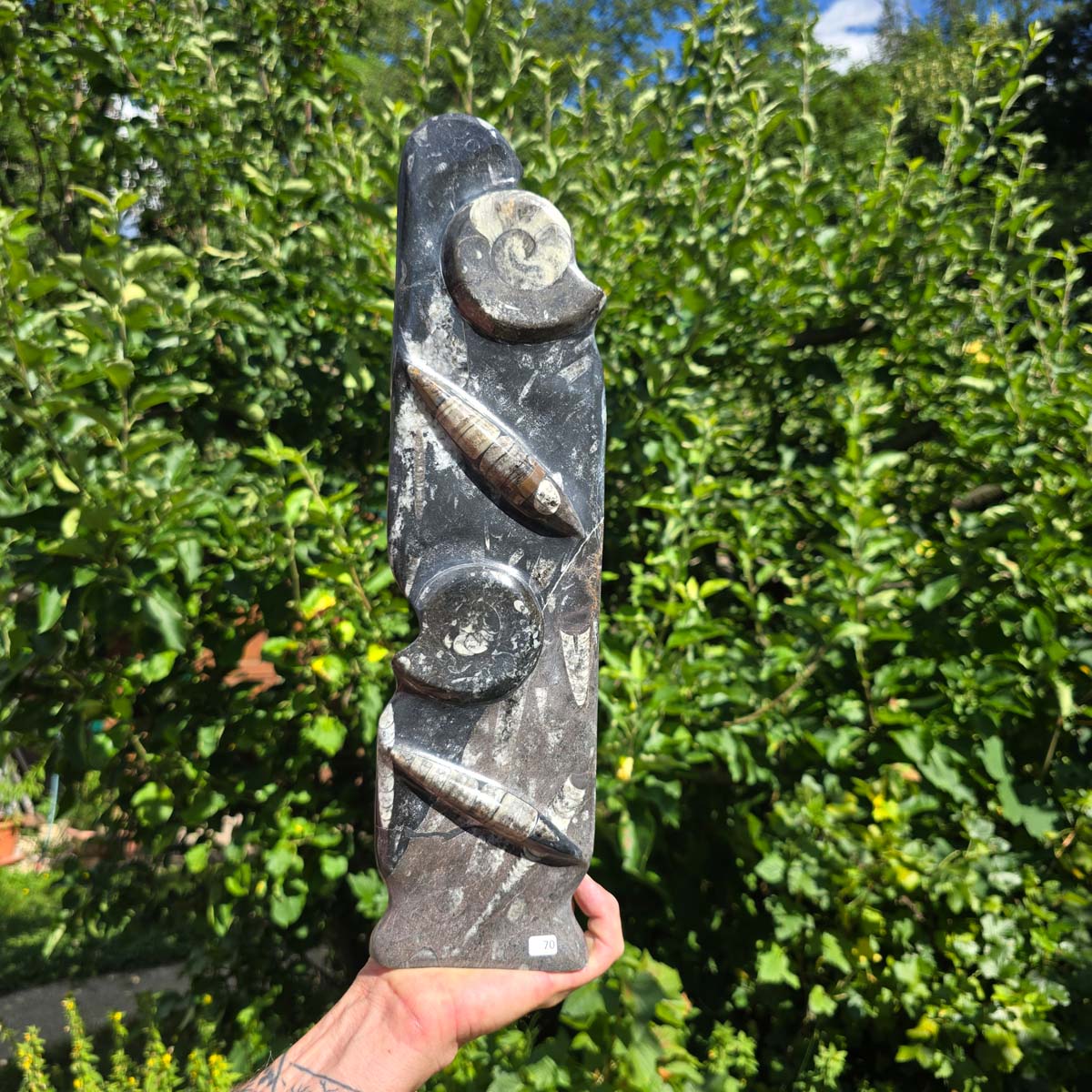 Dekorative handgefertigte Steinskulptur mit Ammoniten und Orthoceren (Fossilien) – 40x10x8cm - Nr. 70