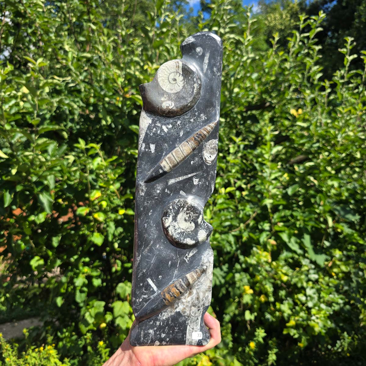 Dekorative handgefertigte Steinskulptur mit Ammoniten und Orthoceren (Fossilien) – 40x10x8cm - Nr. 72
