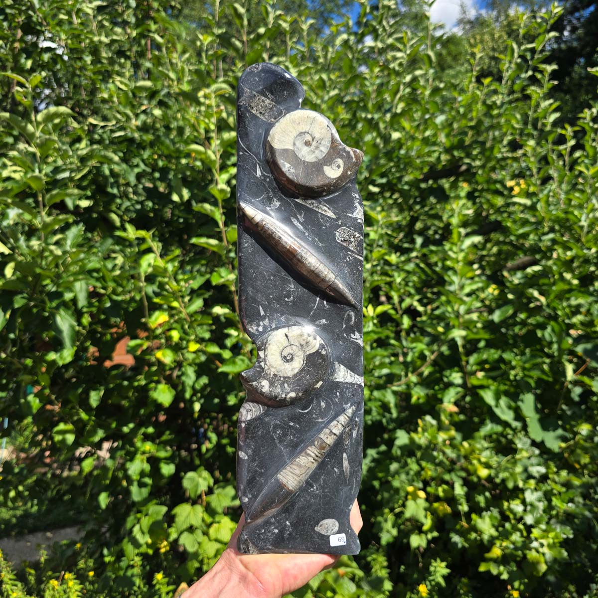 Dekorative handgefertigte Steinskulptur mit Ammoniten und Orthoceren (Fossilien) – 40x10x8cm - Nr. 69