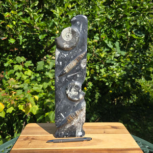 Dekorative handgefertigte Steinskulptur mit Ammoniten und Orthoceren (Fossilien) – 40x10x8cm - Nr. 72