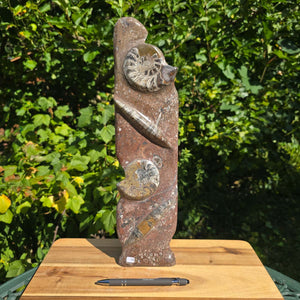 Dekorative handgefertigte Steinskulptur mit Ammoniten und Orthoceren (Fossilien) – 40x10x8cm - Nr. 74 auf Holztablett