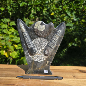 Dekorative handgefertigte Steinskulptur mit Ammoniten und Orthoceren (Fossilien) – 18x16x5cm - Nr. 89