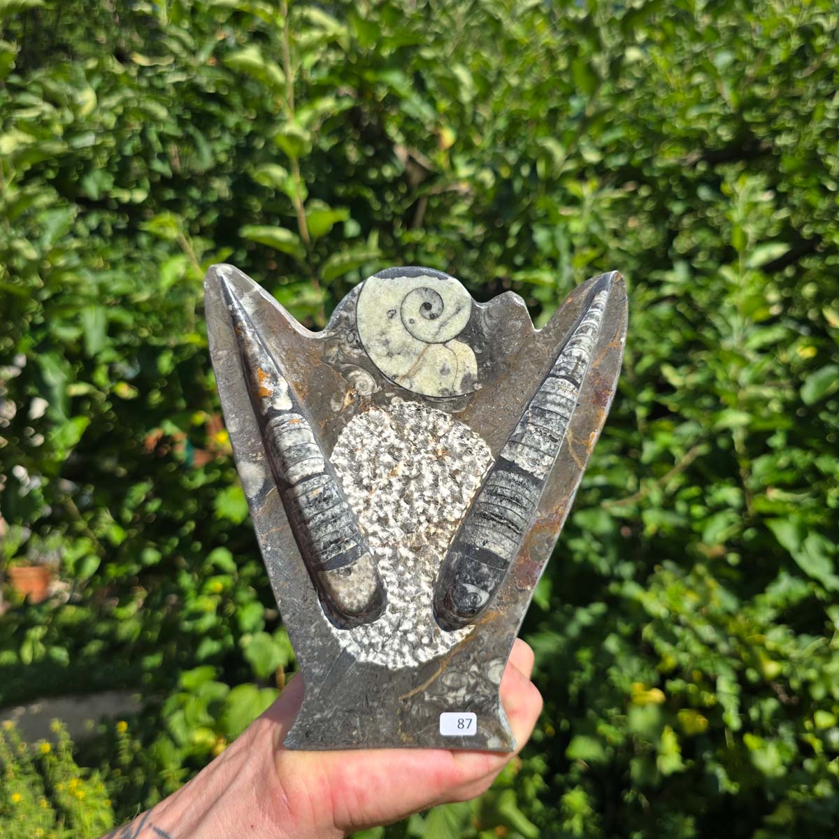 Dekorative handgefertigte Steinskulptur mit Ammoniten und Orthoceren (Fossilien) – 18x16x5cm - Nr. 87 in der Hand.