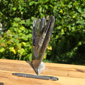 Dekorative handgefertigte Steinskulptur mit Ammoniten und Orthoceren (Fossilien) – 18x16x5cm - Nr. 84 auf Tisch