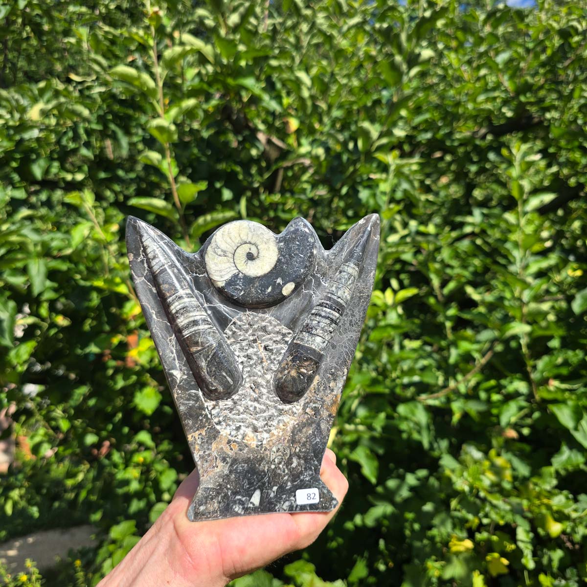 Dekorative handgefertigte Steinskulptur mit Ammoniten und Orthoceren (Fossilien) – 18x16x5cm - Nr. 82