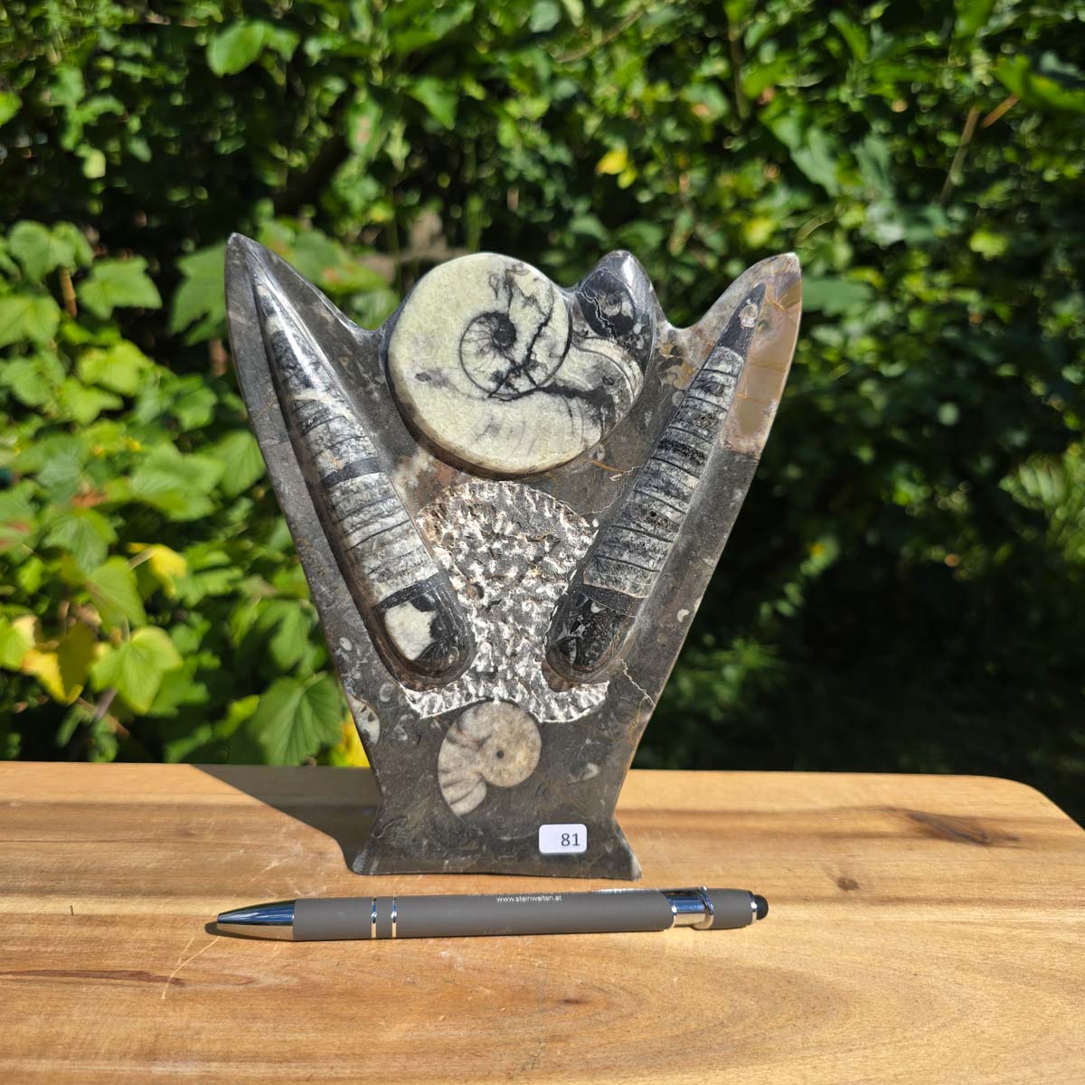 Dekorative handgefertigte Steinskulptur mit Ammoniten und Orthoceren (Fossilien) – 18x16x5cm - Nr. 81, aus schwarzem Fossilienmarmor.