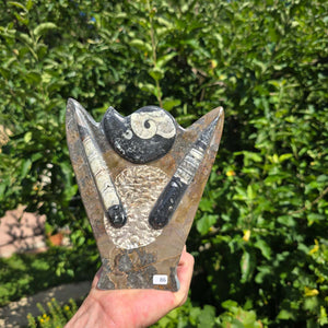Dekorative handgefertigte Steinskulptur mit Ammoniten und Orthoceren (Fossilien) – 18x16x5cm - Nr. 86.