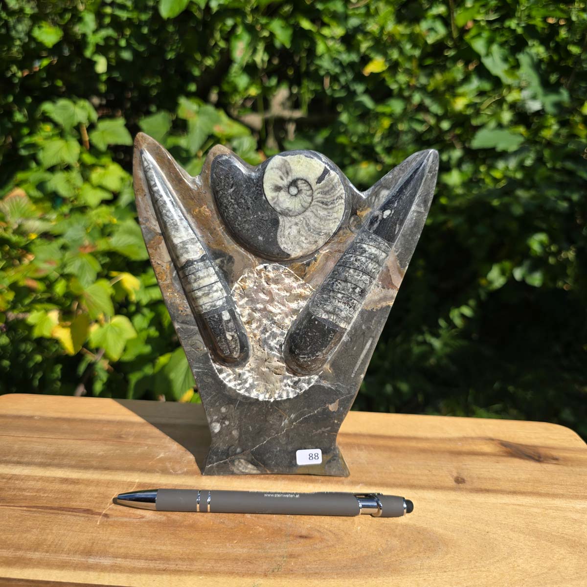 Dekorative handgefertigte Steinskulptur mit Ammoniten und Orthoceren (Fossilien) – 18x16x5cm - Nr. 88