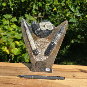 Dekorative handgefertigte Steinskulptur mit Ammoniten und Orthoceren (Fossilien) – 18x16x5cm - Nr. 86 auf Holzoberfläche