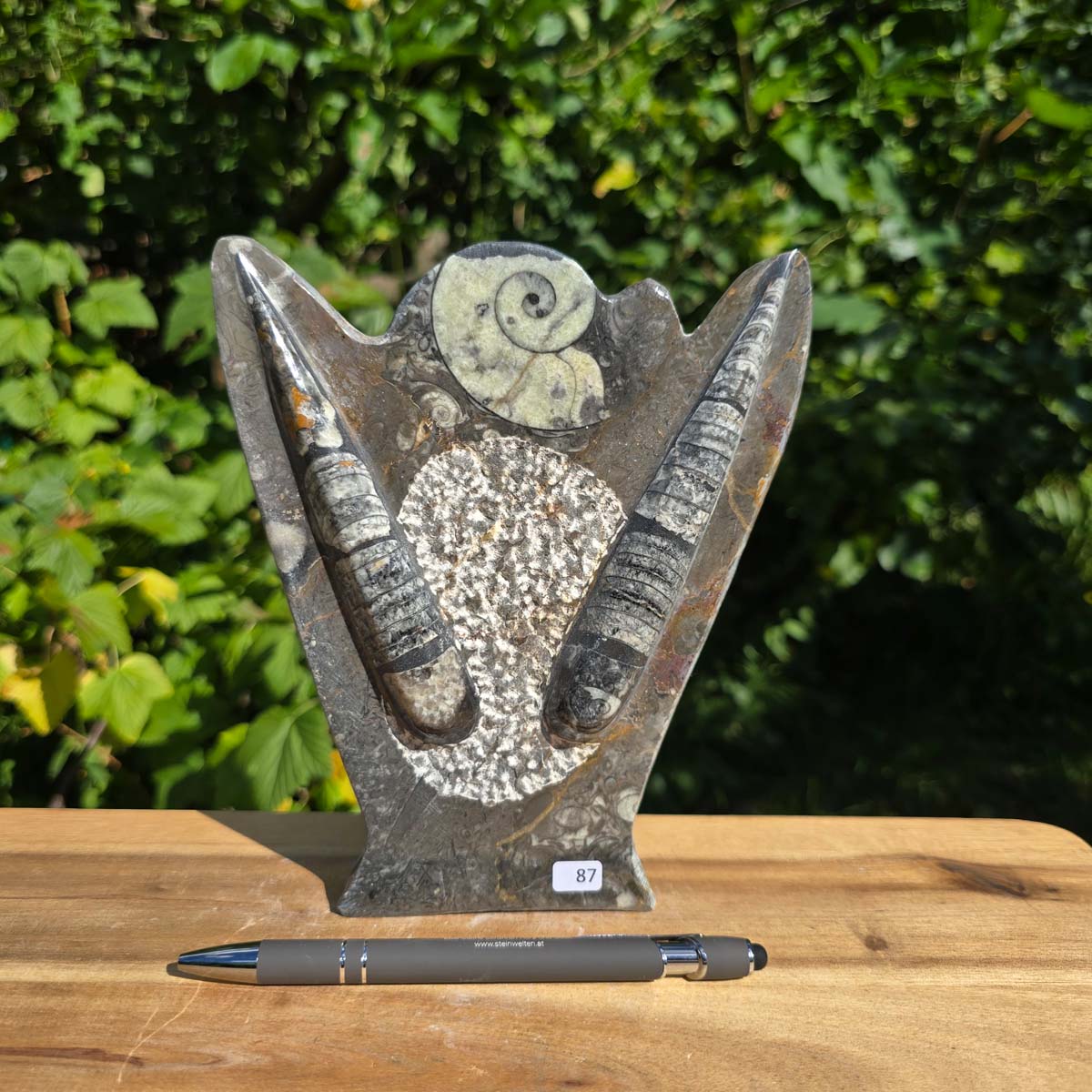 Dekorative handgefertigte Steinskulptur mit Ammoniten und Orthoceren (Fossilien) – 18x16x5cm - Nr. 87 in der Hand.