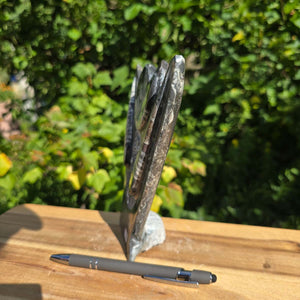 Dekorative handgefertigte Steinskulptur mit Ammoniten und Orthoceren (Fossilien) – 18x16x5cm - Nr. 91 auf Holzuntergrund.