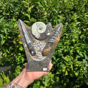 Dekorative handgefertigte Steinskulptur mit Ammoniten und Orthoceren (Fossilien) – 18x16x5cm - Nr. 85
