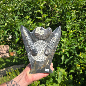 Dekorative handgefertigte Steinskulptur mit Ammoniten und Orthoceren (Fossilien) – 18x16x5cm - Nr. 89