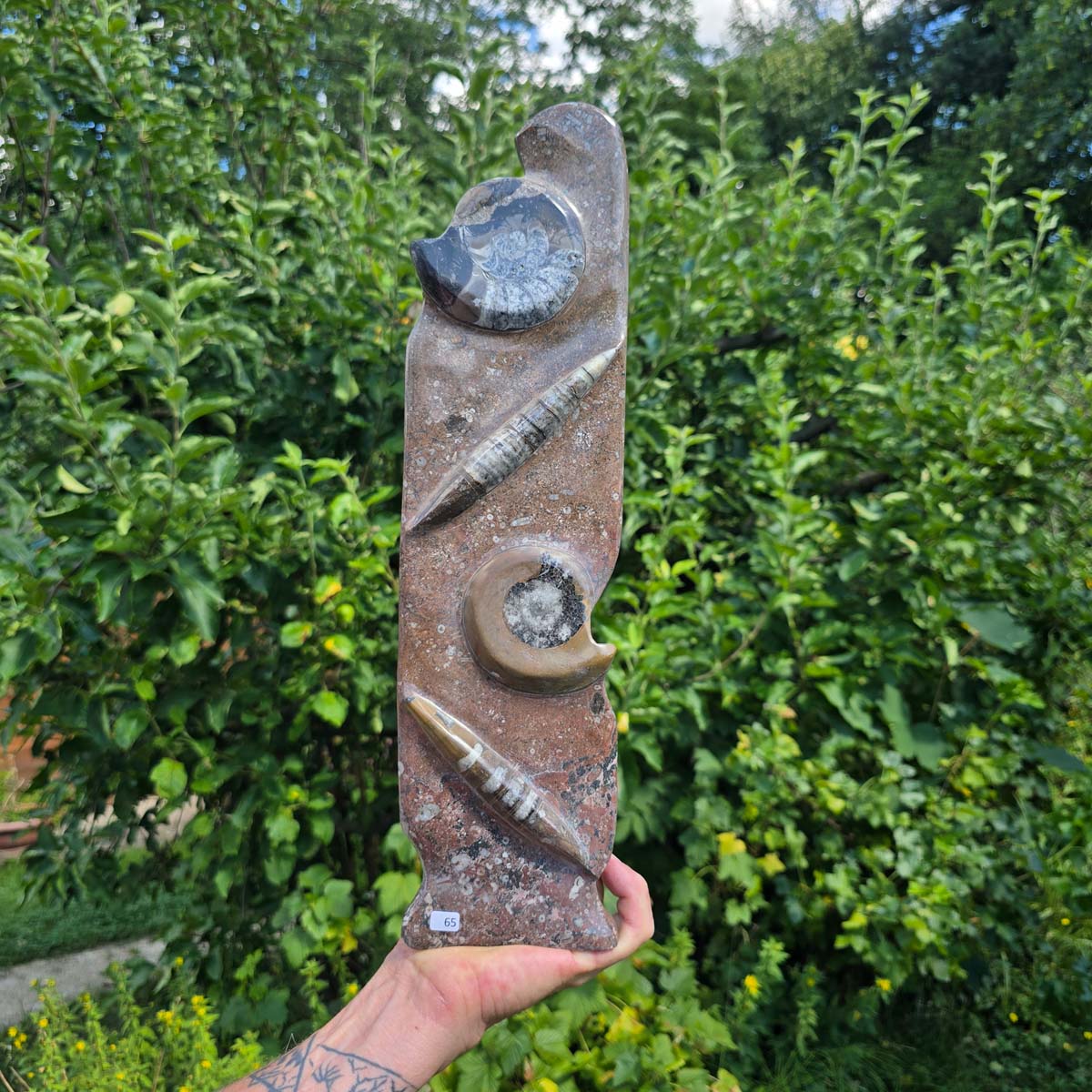 Dekorative handgefertigte Steinskulptur mit Ammoniten und Orthoceren (Fossilien) – 40x10x8cm - Nr. 65