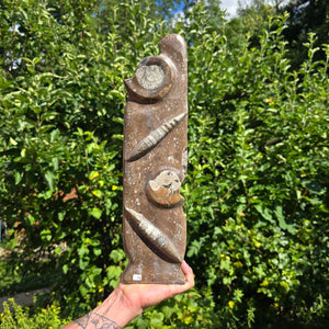 Dekorative handgefertigte Steinskulptur mit Ammoniten und Orthoceren (Fossilien) – 40x10x8cm - Nr. 68