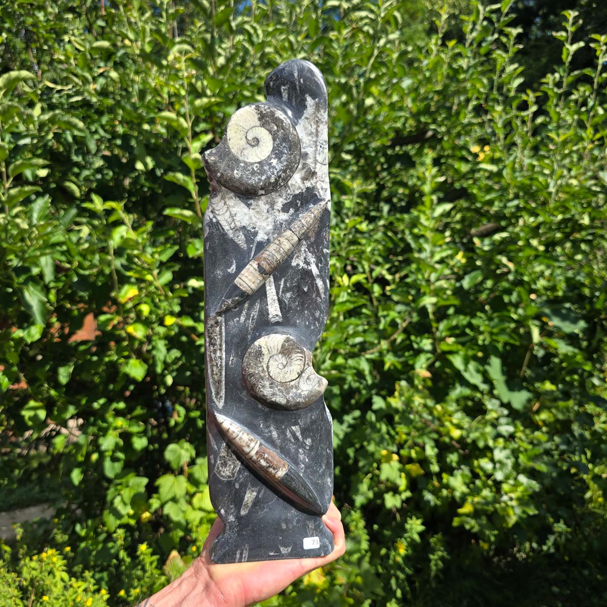 Dekorative handgefertigte Steinskulptur mit Ammoniten und Orthoceren (Fossilien) – 40x10x8cm - Nr. 73