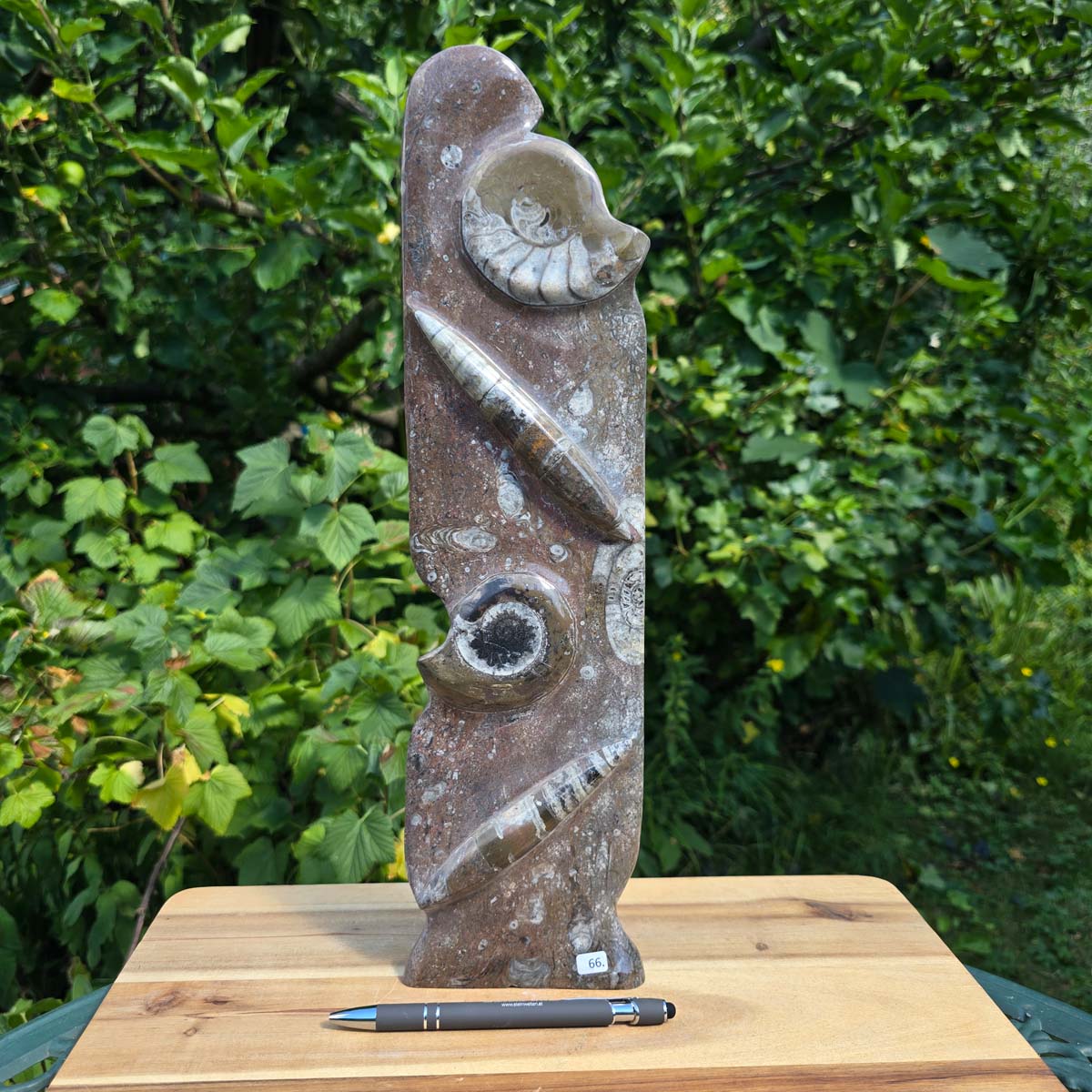 Dekorative handgefertigte Steinskulptur mit Ammoniten und Orthoceren (Fossilien) – 40x10x8cm - Nr. 66