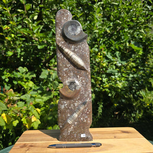 Dekorative handgefertigte Steinskulptur mit Ammoniten und Orthoceren (Fossilien) – 18x16x5cm - Nr. 92 auf Holztisch
