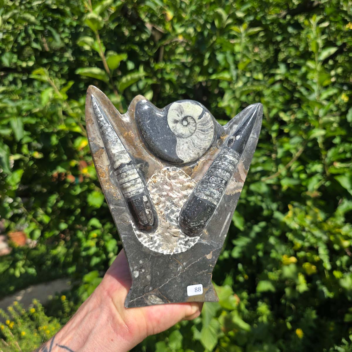 Dekorative handgefertigte Steinskulptur mit Ammoniten und Orthoceren (Fossilien) – 18x16x5cm - Nr. 88