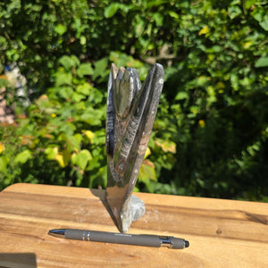 Dekorative handgefertigte Steinskulptur mit Ammoniten und Orthoceren (Fossilien) – 18x16x5cm - Nr. 88 auf Holzuntergrund.