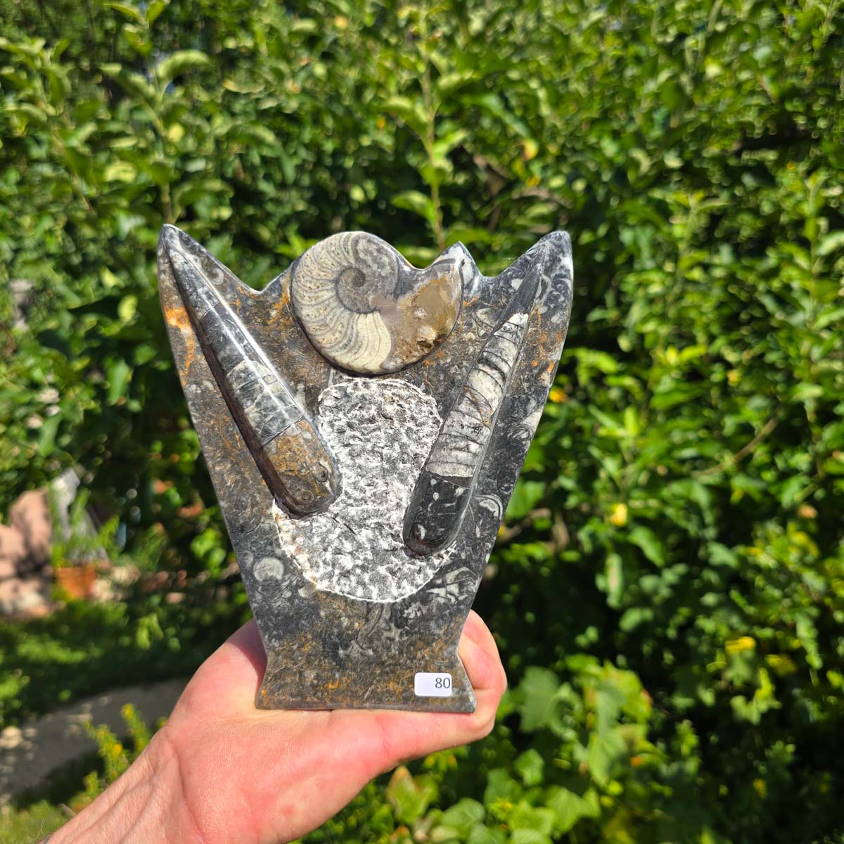 Dekorative handgefertigte Steinskulptur mit Ammoniten und Orthoceren (Fossilien) – 18x16x5cm - Nr. 80 in der Natur.