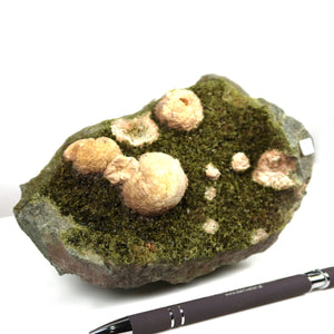 Epidot Kristall mit Prehnit aus Marokko, 16x9x9cm, ideal für Sammler. Kaufen im online Shop Steinwelten. UNIKAT Nr. 3.