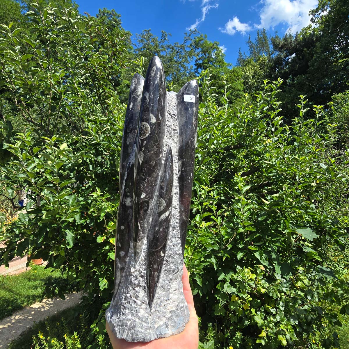Geschliffene Freiform (Turm) mit Ammoniten und Orthoceras – 29x10x9cm - Nr. 59
