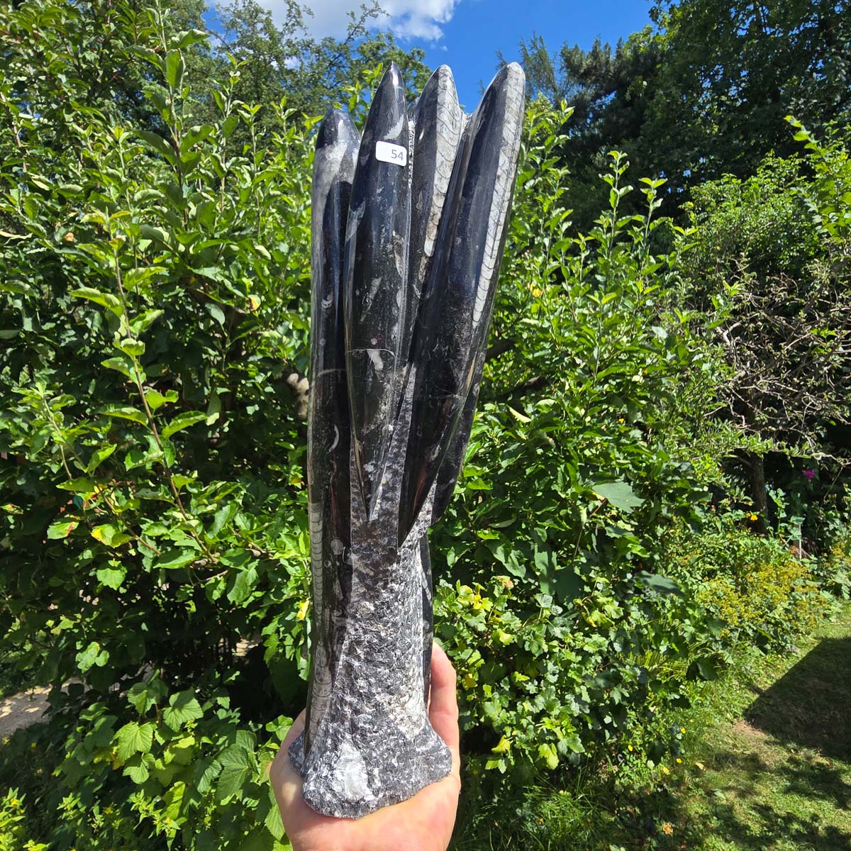 Geschliffene Freiform (Turm) mit Ammoniten und Orthoceras – 36x10x8cm - Nr. 54