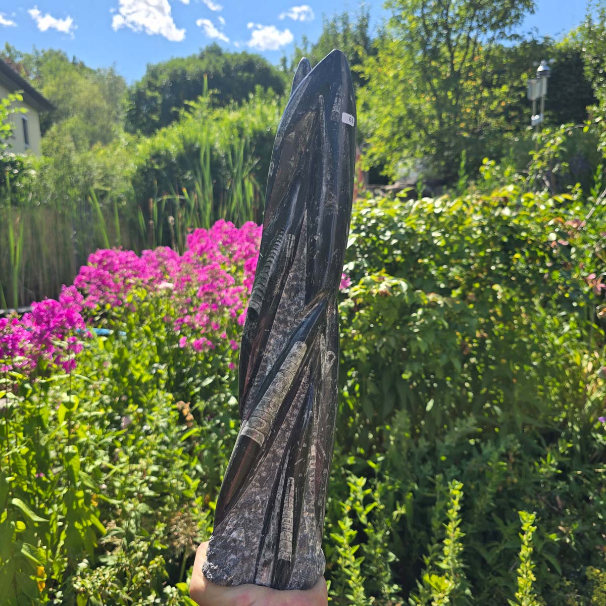 Geschliffene Freiform (Turm) mit Ammoniten und Orthoceras – 43x11x8cm - Nr. 61