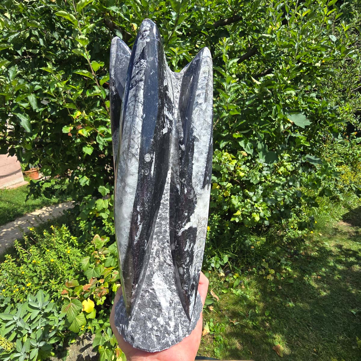 Geschliffene Freiform (Turm) mit Ammoniten und Orthoceras – 30x11x10cm - Nr. 58