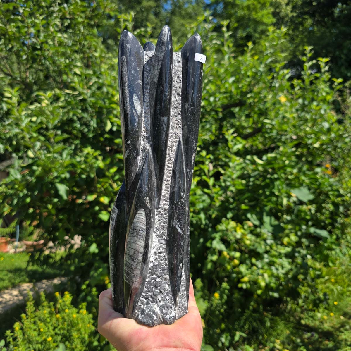 Geschliffene Freiform (Turm) mit Ammoniten und Orthoceras – 30x8x8cm - Nr. 50
