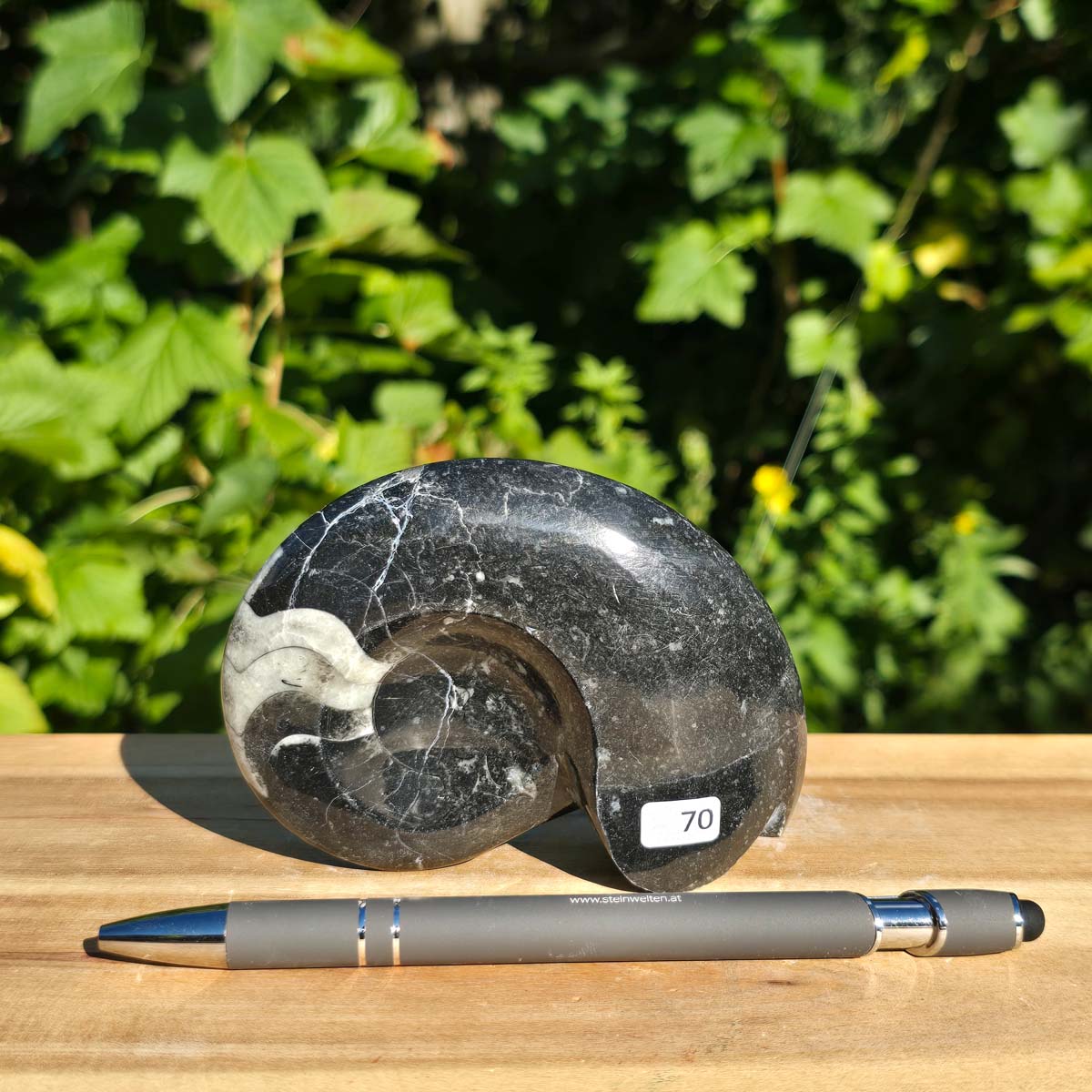 Geschliffene Schnecke mit Ammoniten und Orthoceras – 10x8 cm - Fossilienkunst aus Marokko - Nr. 98